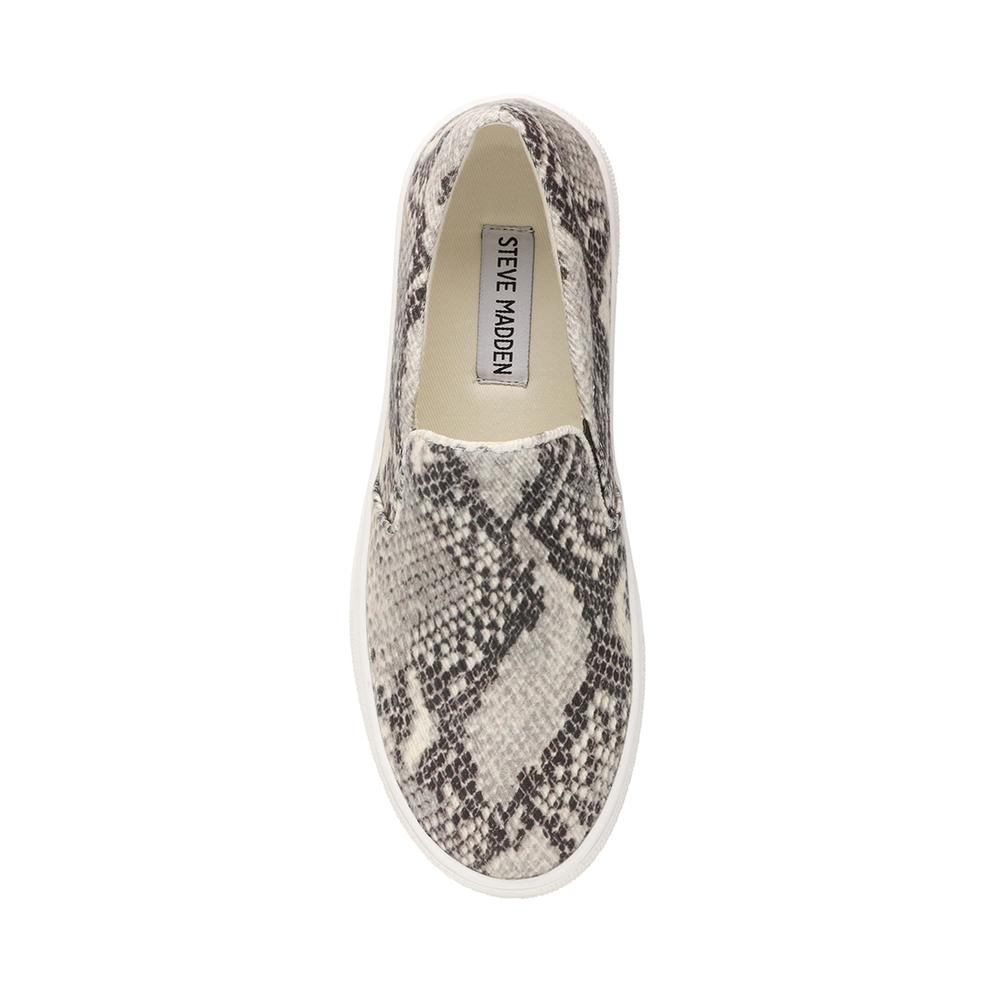 Steve Madden Women GILLS-C SNAKE