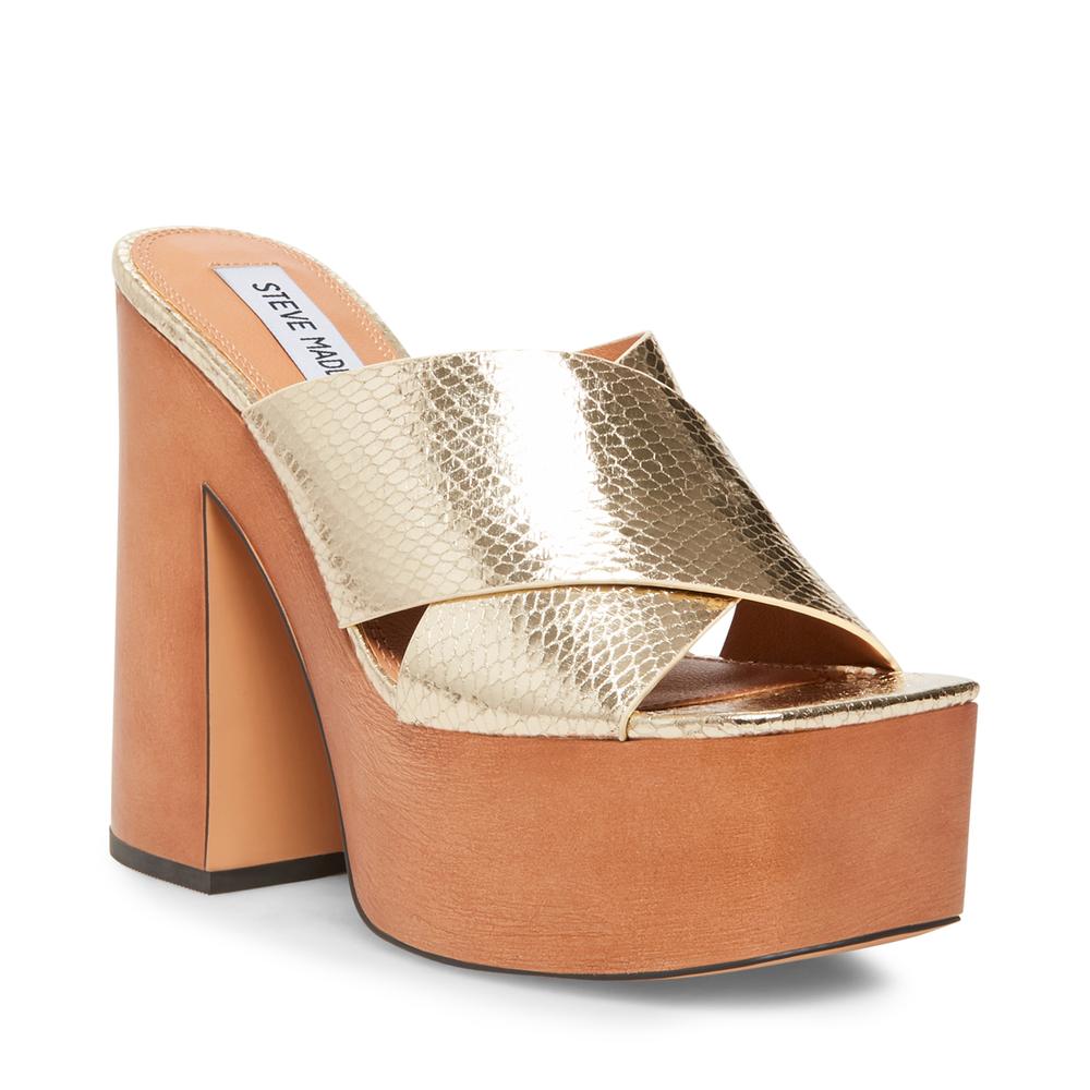 Steve Madden Women SENADA GOLD