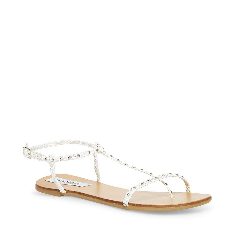 Steve Madden Women DEVISE WHITE