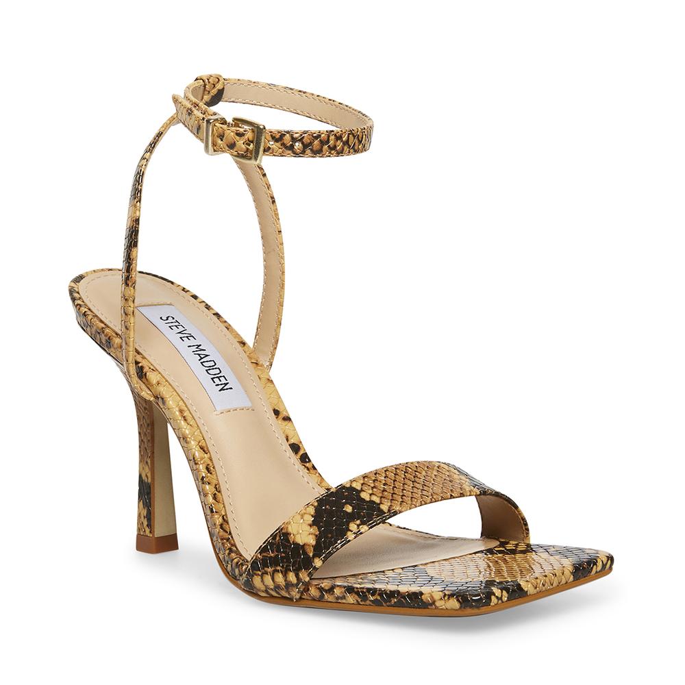 Steve Madden Women KARRI TAN SNAKE