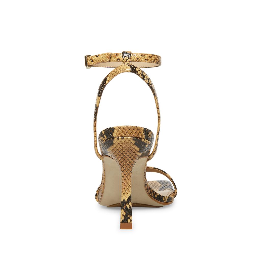 Steve Madden Women KARRI TAN SNAKE