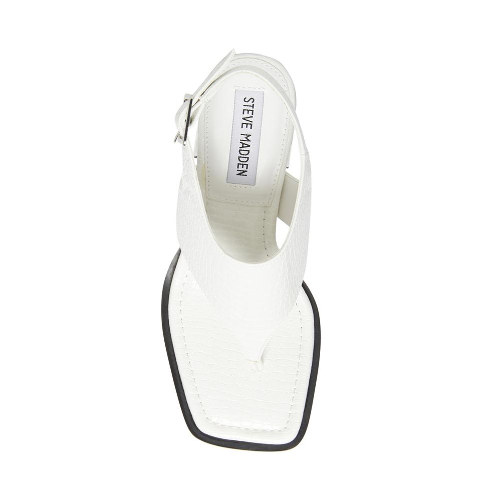 Steve Madden Women ALLURA WHITE CROCODILE