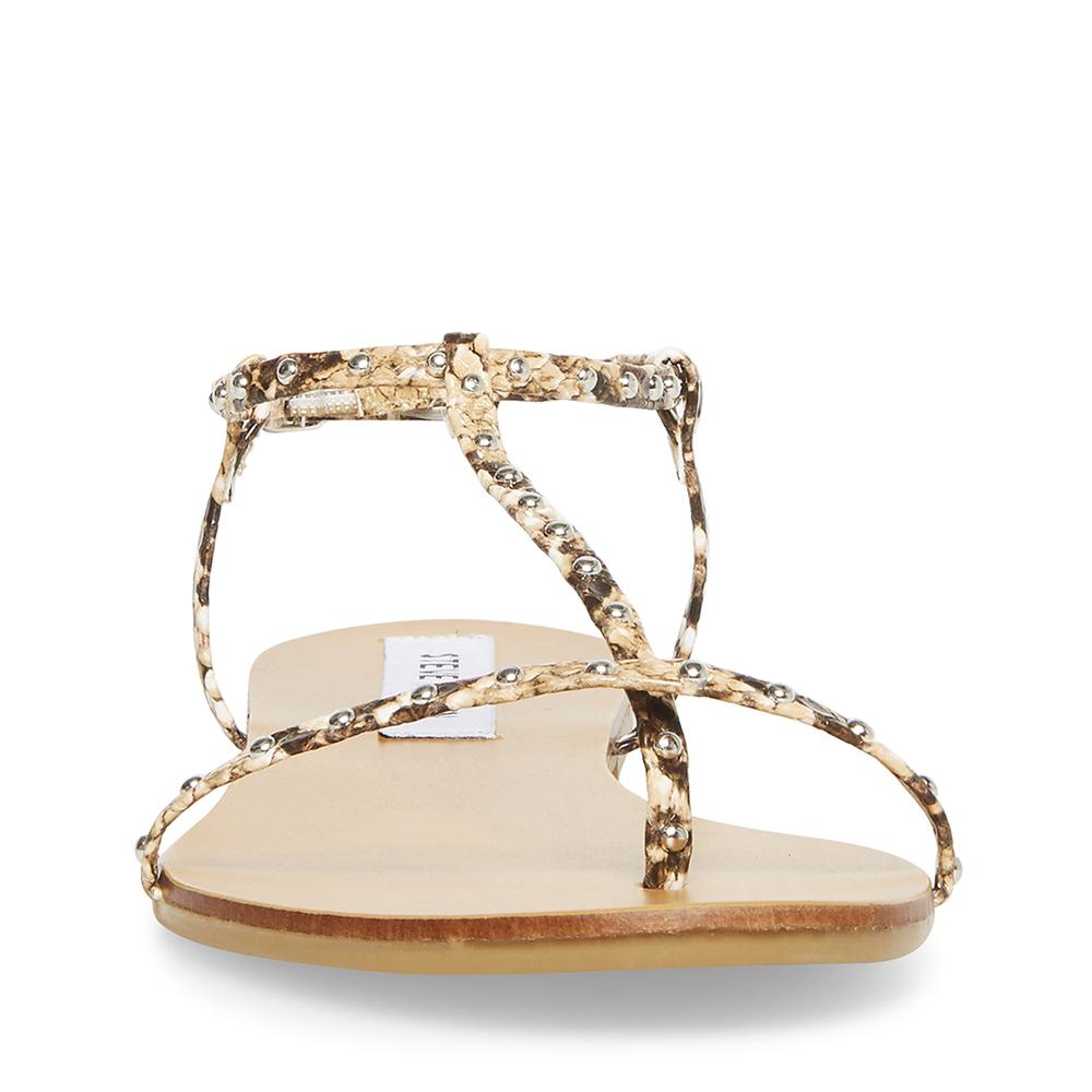 Steve Madden Women DEVISE SNAKE