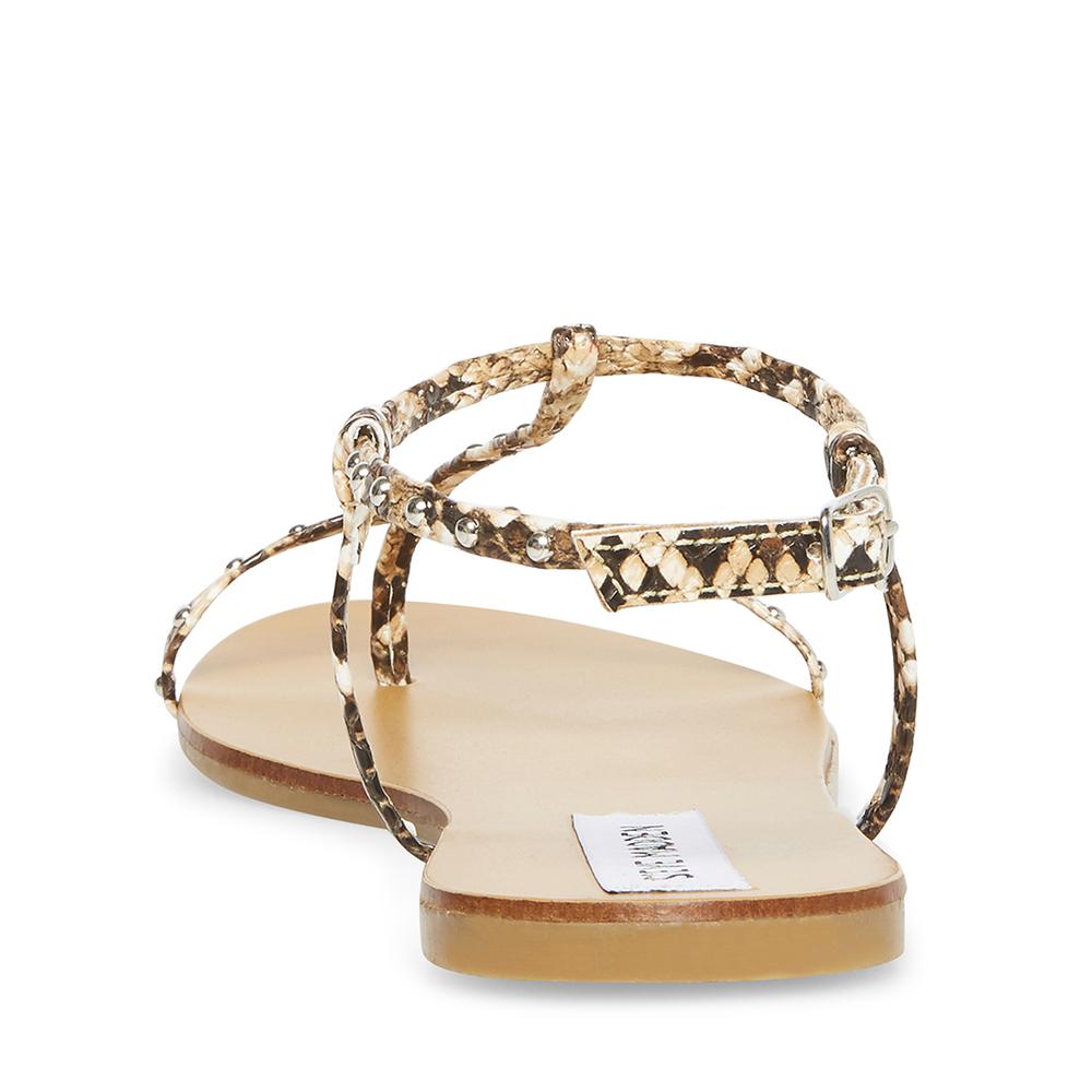 Steve Madden Women DEVISE SNAKE