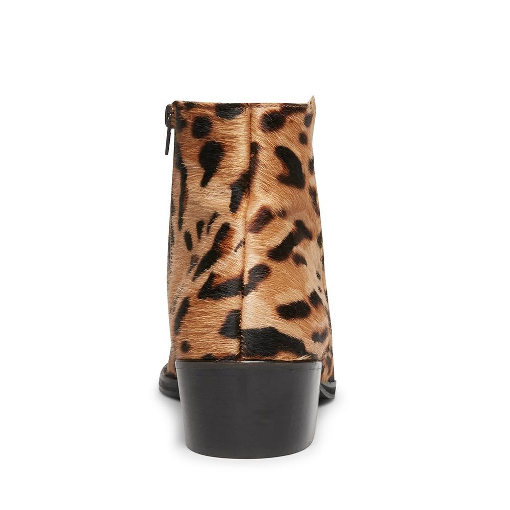 Steve Madden Men MEEK LEOPARD