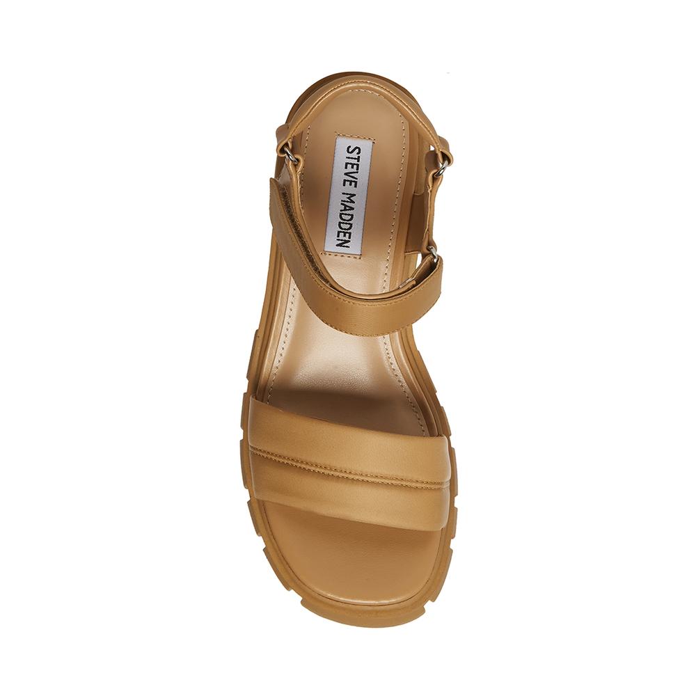 Steve Madden Women LOUELLA TAN