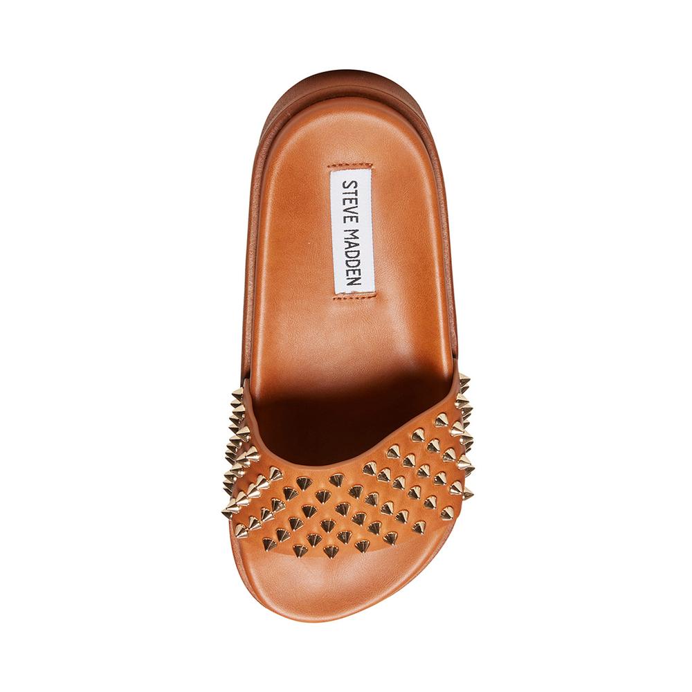 Steve Madden Women ENDORSE TAN