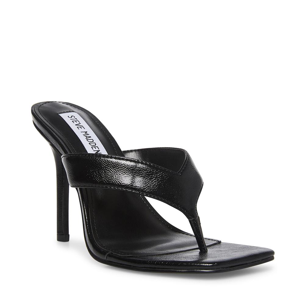 Steve Madden Women SHOWCASE BLACK