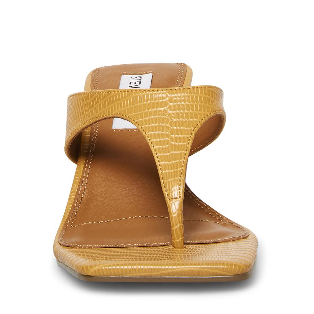 Steve Madden Women ALEXINA TAN