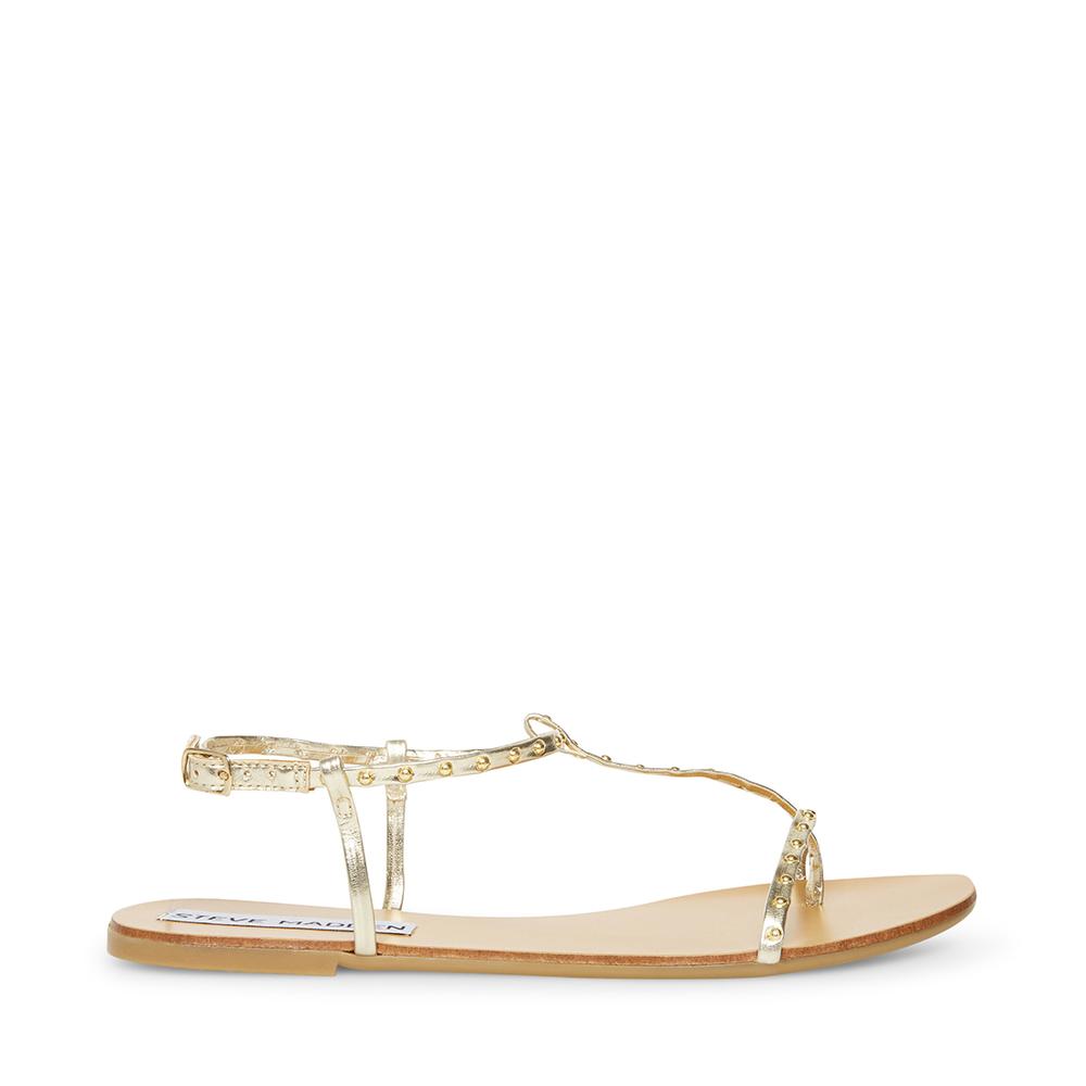 Steve Madden Women DEVISE GOLD