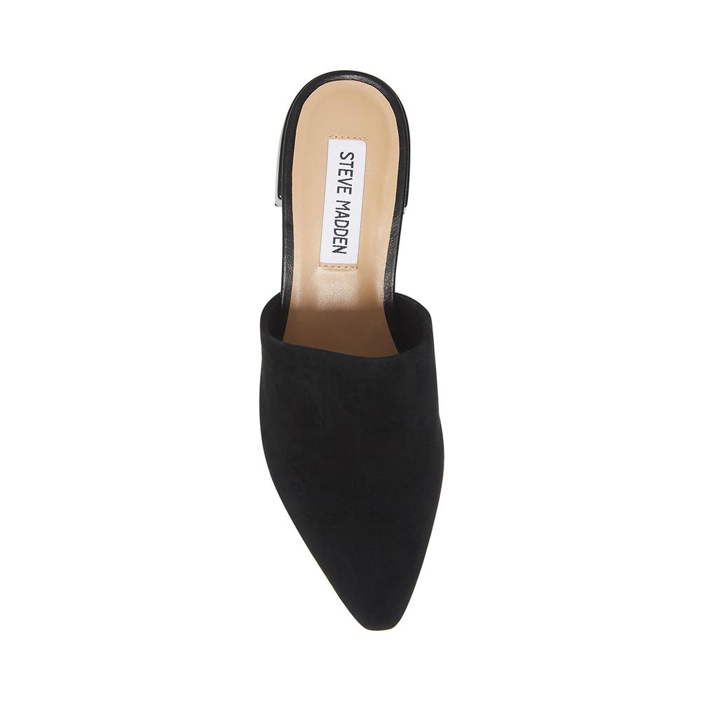 Steve Madden Women LYRA BLACK SUEDE