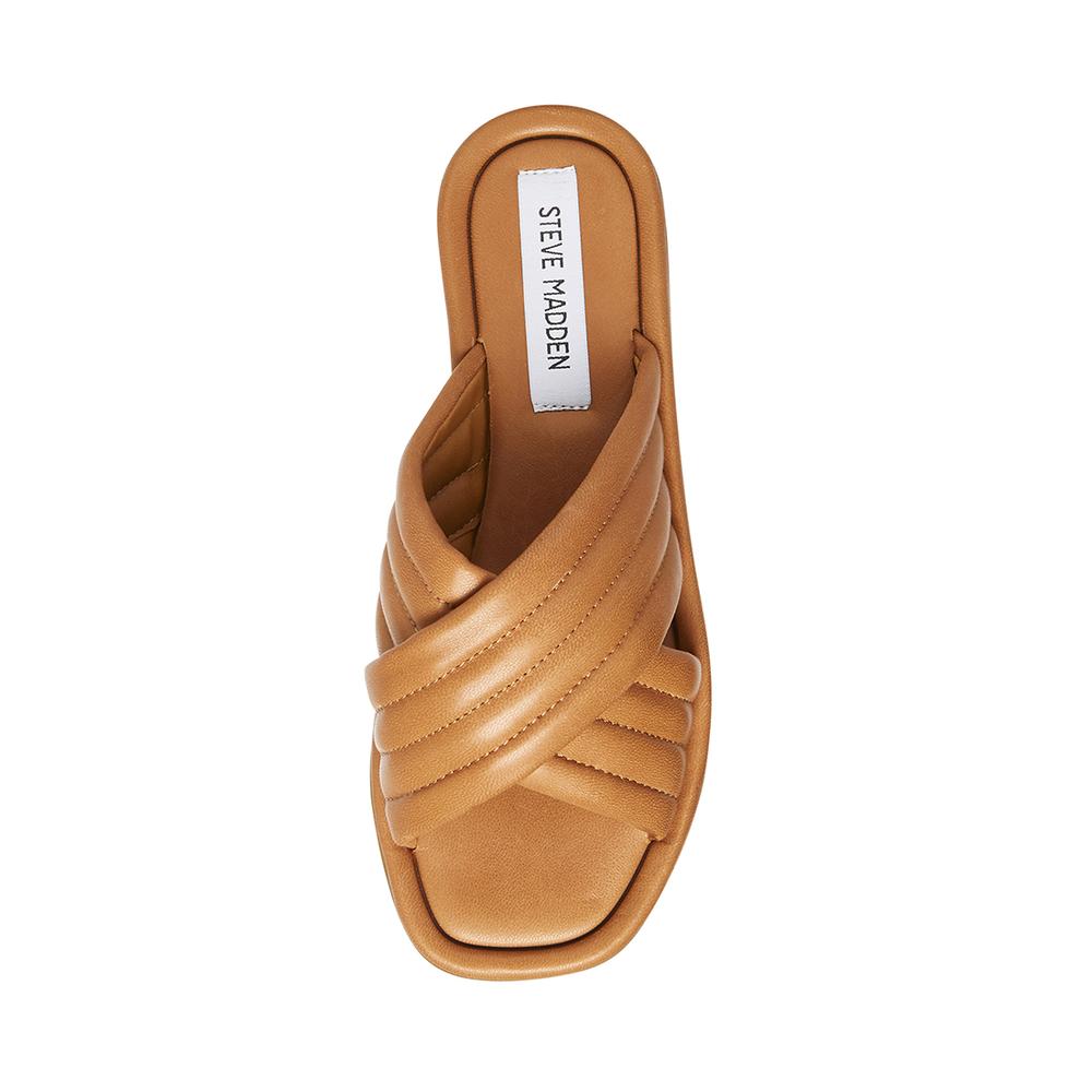 Steve Madden Women JENELLE TAN