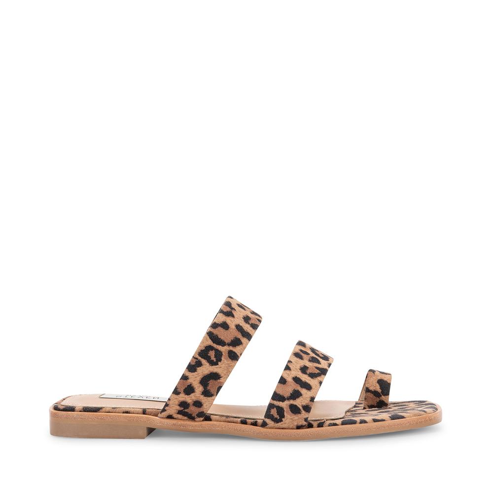 Steve Madden Women HUNTER LEOPARD - Click Image to Close