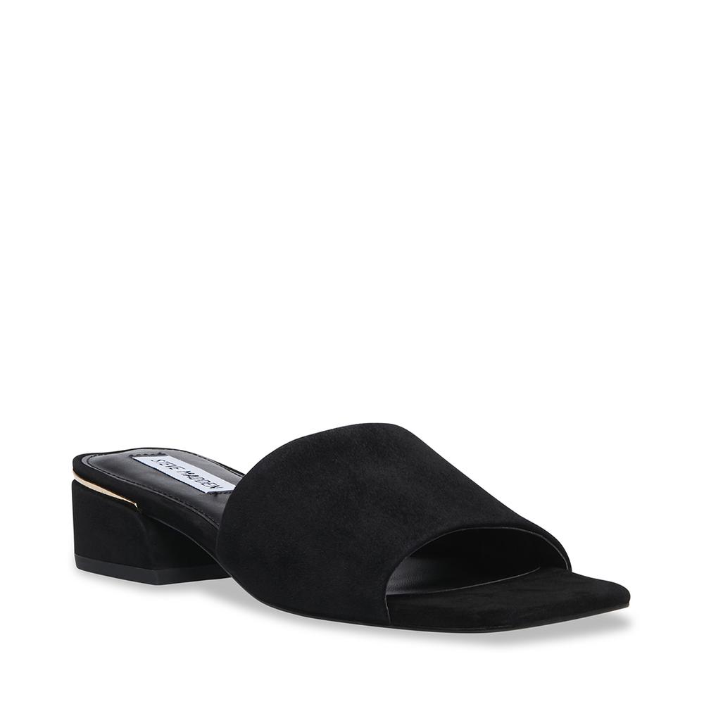 Steve Madden Women MEAGAN BLACK SUEDE