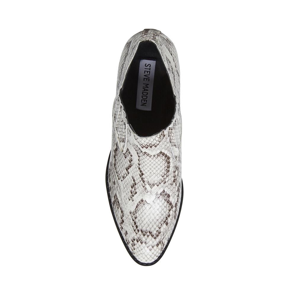 Steve Madden Women BARNETT BLACK/WHITE SNAKE