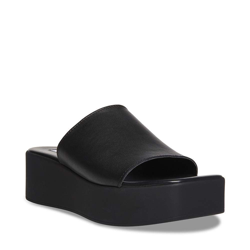 Steve Madden Women TAPANGA BLACK