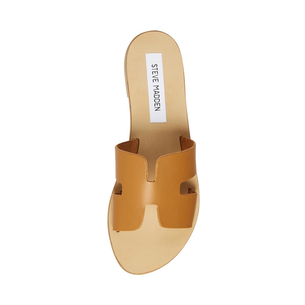 Steve Madden Women GREECE COGNAC LEATHER