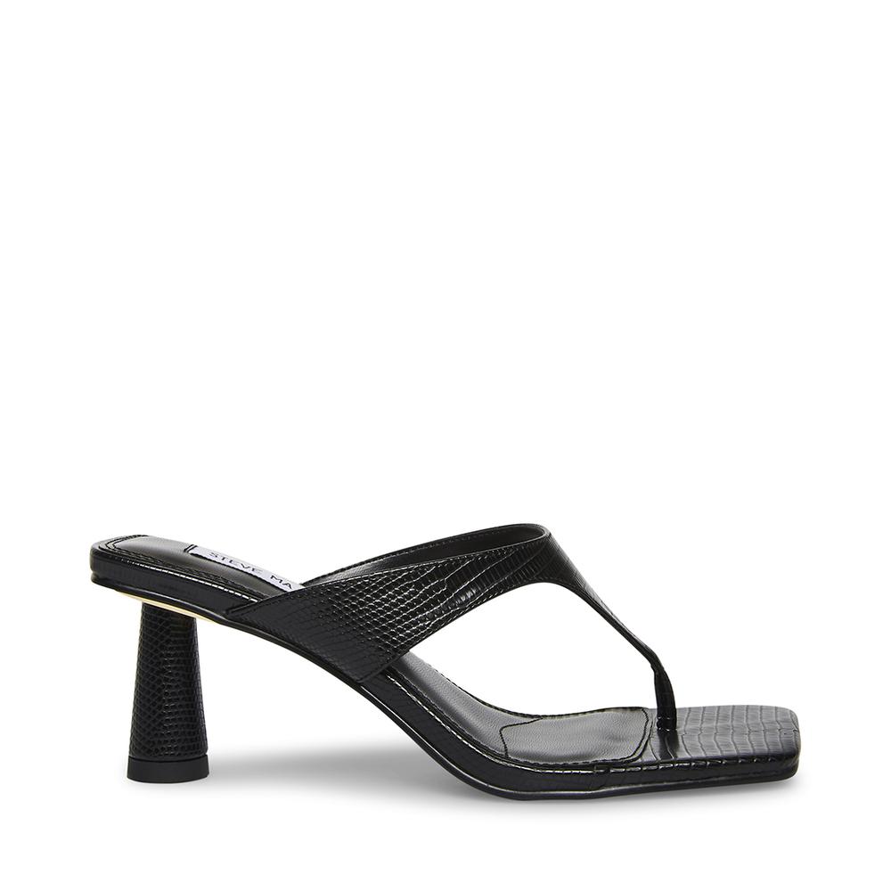 Steve Madden Women ALEXINA BLACK