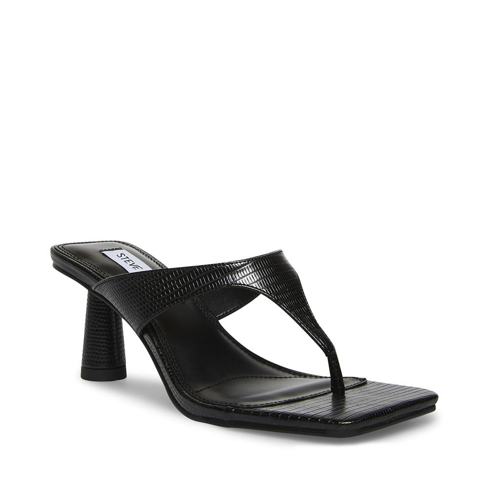 Steve Madden Women ALEXINA BLACK