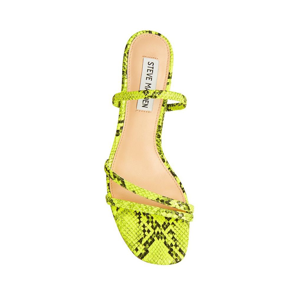 Steve Madden Women LOFT GREEN SNAKE