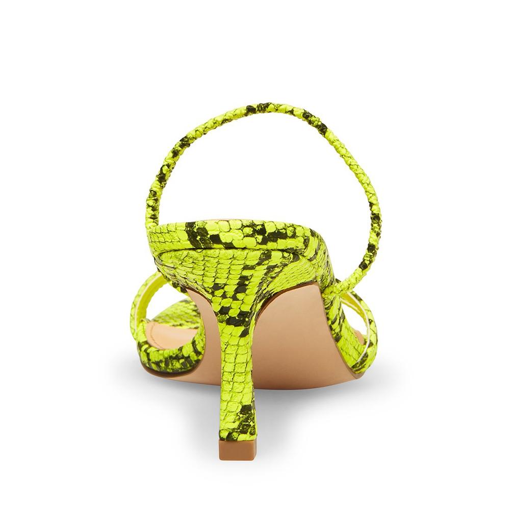 Steve Madden Women LOFT GREEN SNAKE