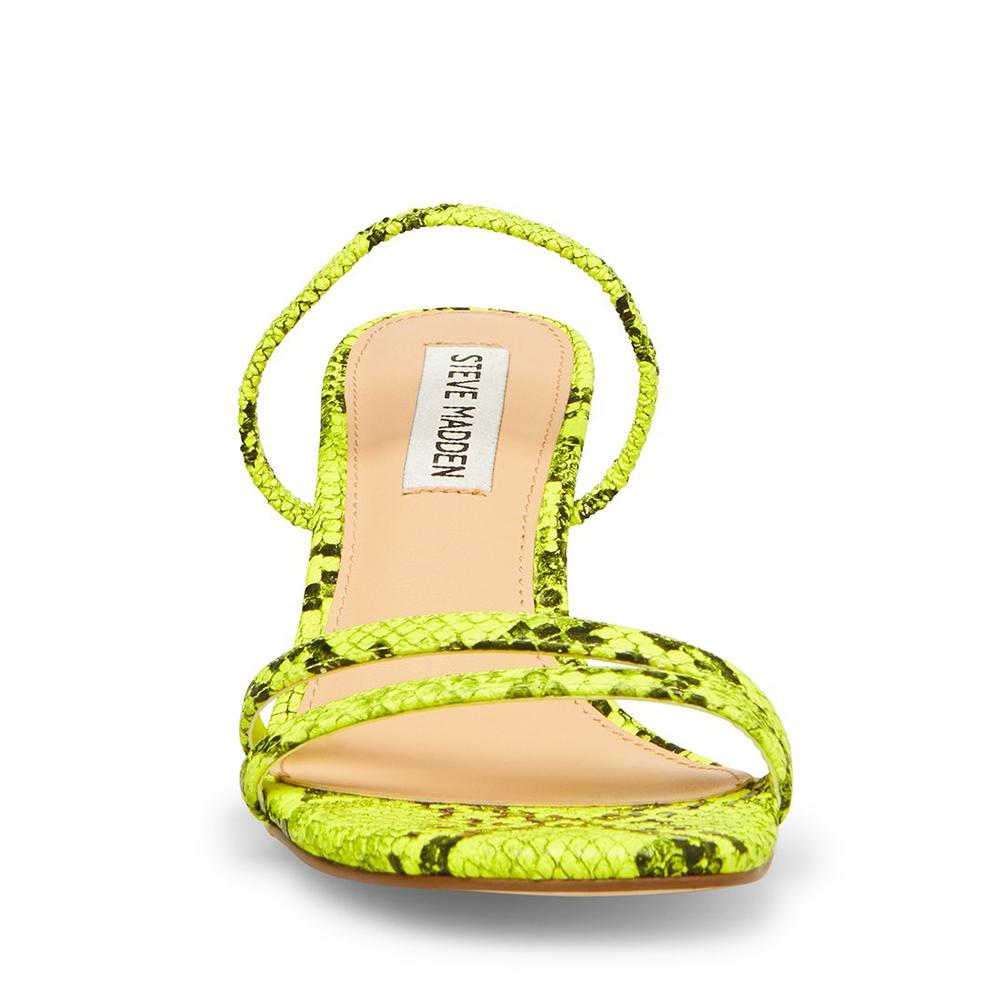 Steve Madden Women LOFT GREEN SNAKE