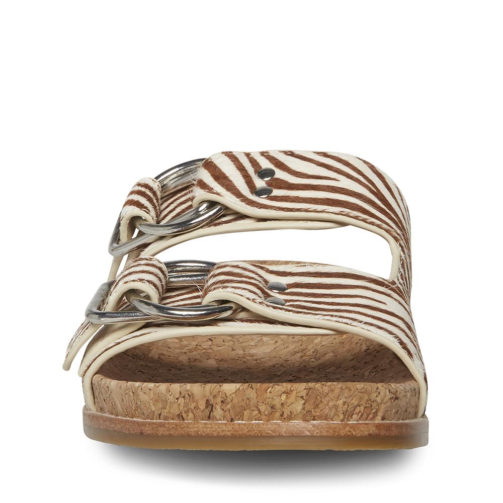 Steve Madden Women ZEYA TIGER