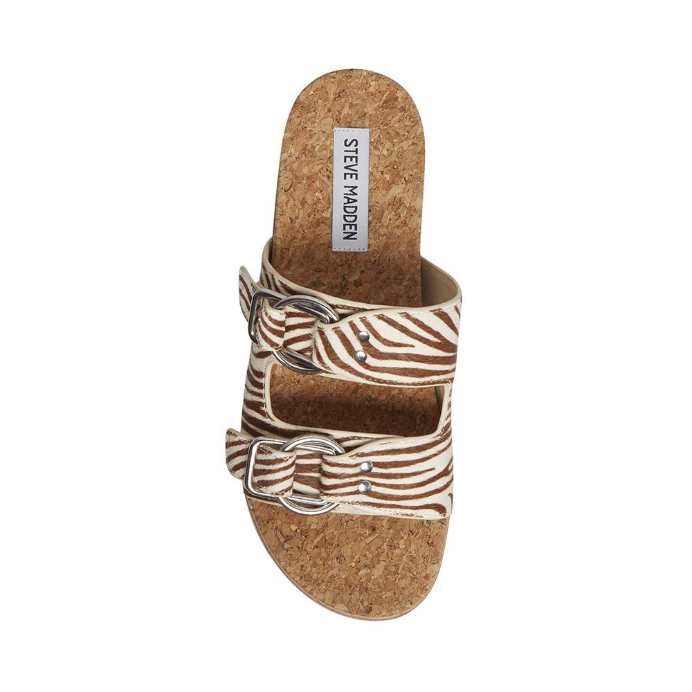 Steve Madden Women ZEYA TIGER